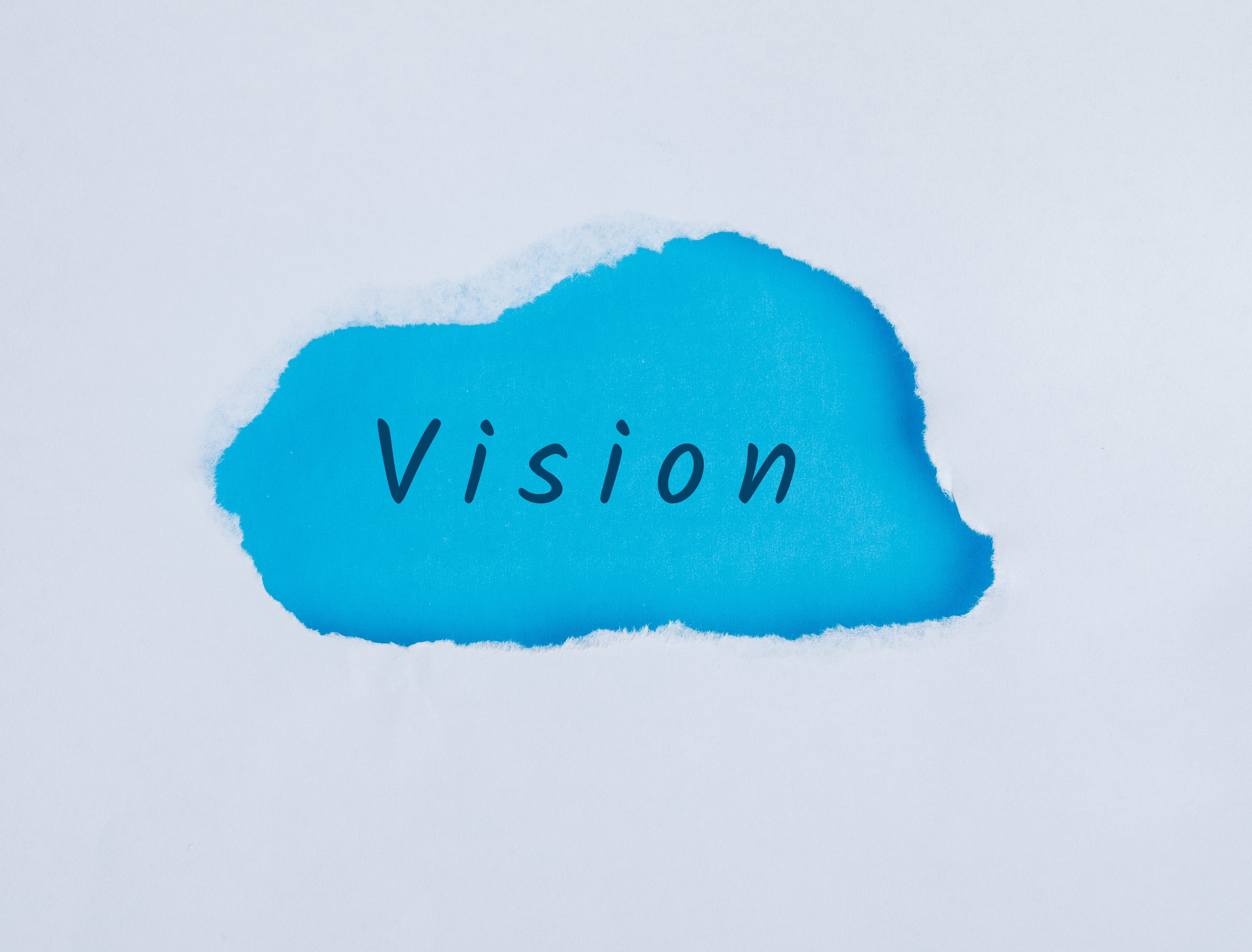 Vision